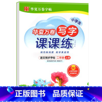 写字课课练.二上 [正版]写字课课练 一二年级三四年级五六年级上册下册语文同步练字帖人教版小学生字帖练字本一课一练字帖硬