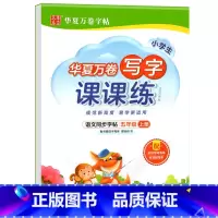 写字课课练.五上 [正版]写字课课练 一二年级三四年级五六年级上册下册语文同步练字帖人教版小学生字帖练字本一课一练字帖硬