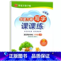 写字课课练.六上 [正版]写字课课练 一二年级三四年级五六年级上册下册语文同步练字帖人教版小学生字帖练字本一课一练字帖硬