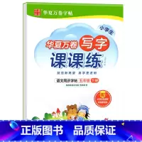 写字课课练.五下 [正版]写字课课练 一二年级三四年级五六年级上册下册语文同步练字帖人教版小学生字帖练字本一课一练字帖硬