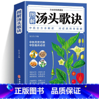 [正版]汤头歌诀 全彩典藏白话版中医书籍大全中医基础理论倪海厦经典药方书籍大全经典药方中医书籍养生诊断学中草药彩色图案大