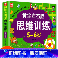 [5-6岁]左右脑思维训练 [正版]全脑开发思维训练2-3岁宝宝书籍左右脑开发儿童逻辑思维书训练智力大书2-3岁幼儿园全