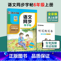 6年级上册 语文同步练字帖 小学通用 [正版]一年级二年级小学生练字帖三四五六年级字帖上册下册每日一练笔划笔顺练语文生字
