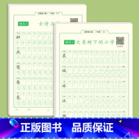 三年级上册+下册同步字帖*共6册 [正版]一年级字帖练字小学生同步点阵控笔训练字帖二三年级上册下册练字帖每日一练钢笔硬笔