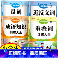 全套4册 词语积累大全训练 [正版]小学生成语大全专项训练 人教1-6年级成语积累本知识点词语近义词反义词大全重叠词量词