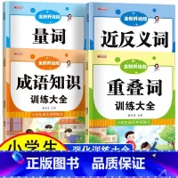 全套4册 词语积累大全训练 [正版]小学生成语大全专项训练 人教1-6年级成语积累本知识点词语近义词反义词大全重叠词量词