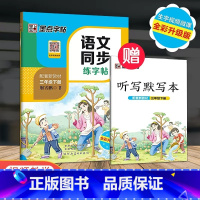 3年级下册 语文同步练字帖 小学通用 [正版]一年级二年级小学生练字帖三四五六年级字帖上册下册每日一练笔划笔顺练语文生字