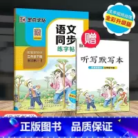 3年级下册 语文同步练字帖 小学通用 [正版]一年级二年级小学生练字帖三四五六年级字帖上册下册每日一练笔划笔顺练语文生字
