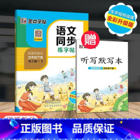 5年级下册 语文同步练字帖 小学通用 [正版]一年级二年级小学生练字帖三四五六年级字帖上册下册每日一练笔划笔顺练语文生字