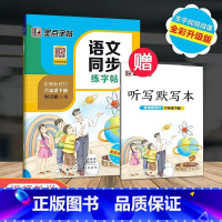 6年级下册 语文同步练字帖 小学通用 [正版]一年级二年级小学生练字帖三四五六年级字帖上册下册每日一练笔划笔顺练语文生字