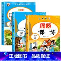 口算应用题+语数一课一练.二上 小学二年级 [正版]二年级口算+应用题上册小学数学思维专项训练人教版 2上同步练习册口算