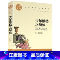 少年维特之烦恼 [正版]名著任选初中生世界名着全套原着书籍小说经典儿童文假如给我三天光明昆虫记爱的教育海底两万里简爱中小