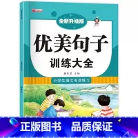 优美句子训练大全 [正版]小学生成语大全专项训练 人教1-6年级成语积累本知识点词语近义词反义词大全重叠词量词语文优美句