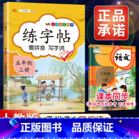 5上》练字帖 [正版]2023新版二年级下册同步练字帖三四五六年级一年级下册同步字帖人教版上册语文汉字生字本笔顺笔划拼音