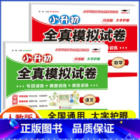 全真模拟试卷 语文+数学[2本] 小学升初中 [正版]2023年小升初分班全真模拟试测试卷初一入学必刷题人教版语文数学英
