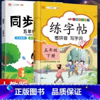 5下》同步练字帖+同步作文[2册] [正版]2023新版二年级下册同步练字帖三四五六年级一年级下册同步字帖人教版上册语文