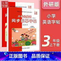 三年级上+下[外研版] 小学通用 [正版]小学英语外研版3-6年级衡水体字帖小学三年级起点三四五六年级钢笔硬笔书法练字帖