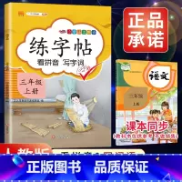 3上》练字帖 [正版]2023新版二年级下册同步练字帖三四五六年级一年级下册同步字帖人教版上册语文汉字生字本笔顺笔划拼音