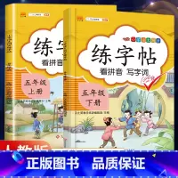 5年级》上册+下册 [正版]2023新版二年级下册同步练字帖三四五六年级一年级下册同步字帖人教版上册语文汉字生字本笔顺笔