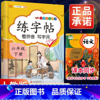 6下》练字帖 [正版]2023新版二年级下册同步练字帖三四五六年级一年级下册同步字帖人教版上册语文汉字生字本笔顺笔划拼音