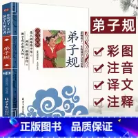 [单本注音]弟子规 [正版]论语注音版小学生课外阅读书籍儿童版一二三年级课外书小学生课外阅读物书籍影响孩子一生的国学启蒙
