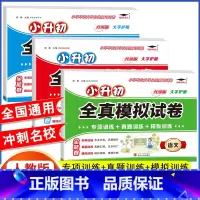 全真模拟试卷 语+数+英 [3本] 小学升初中 [正版]2023年小升初分班全真模拟试测试卷初一入学必刷题人教版语文数学