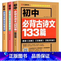 [全3册]初中语文知识大全 初中通用 [正版]初中必读12部名著导读精练必考文学文化常识 七八九年级文化文学常识积累中学