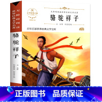 [百年百部]骆驼祥子 [正版]五年级下册课外阅读书籍 人民文学出版社小学生版原著完整无删减 俗世奇人冯骥才全本小兵张嘎徐
