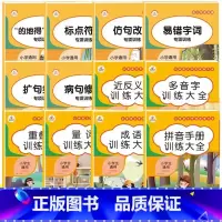 12本]词语训练大全+语文专项训练 小学通用 [正版]词语积累大全训练手册 全套4本 小学语文重叠词量词aabb aba