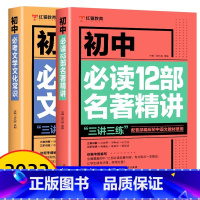 [2册]初中语文文学文化常识+名著精讲 初中通用 [正版]初中必读12部名著导读精练必考文学文化常识 七八九年级文化文学