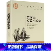 契诃夫短篇小说集 [正版]任选名著全套67册 世界名著全套原著书籍小说经典儿童文假如给我三天光明昆虫记爱的教育海底两万里