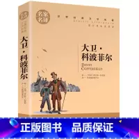 大卫科波菲尔 [正版]任选名著全套67册 世界名著全套原著书籍小说经典儿童文假如给我三天光明昆虫记爱的教育海底两万里简爱