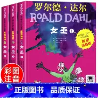 [彩色图案注音 全3册]女巫 [正版] 了不起的狐狸爸爸注音版全套 一二年级阅读必课外书读 罗尔德达尔的书全套系列 小学
