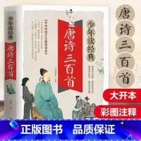 唐诗三百首 [正版]高启强同款孙子兵法与三十六计 文言文有译文文白对照 彩色插图 疑难生僻字注音注释青少年版学生阅读成人