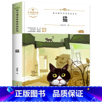 猫 [正版]六年级下册必的课外书读老师推小升初课外阅读书籍荐 适合小学六升国一初一看的读物 初中生上册 初中经典书目6济