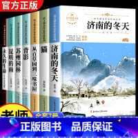 [全套7册]六年级下册阅读 [正版]六年级下册必的课外书读老师推小升初课外阅读书籍荐 适合小学六升国一初一看的读物 初中