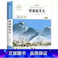 济南的冬天 [正版]六年级下册必的课外书读老师推小升初课外阅读书籍荐 适合小学六升国一初一看的读物 初中生上册 初中经典