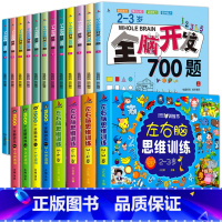 [2-6岁]全脑开发+左右脑+全脑游戏(全20册) [正版]全脑开发思维训练700题1000题儿童思维逻辑训练书认知启蒙