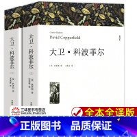 大卫科波菲尔(上下2册) [正版]世界名著 飘 战争与和平 悲惨世界 基督山伯爵 大卫科波菲尔 经典文学名著书籍全套原著