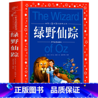 绿野仙踪 [正版]海豚童书 小王子书 注音版中文儿童绘本经典世界名着1-3年级小学生读物一年级二年级课外阅读带拼音的课外