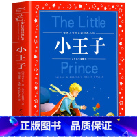 小王子 [正版]海豚童书 小王子书 注音版中文儿童绘本经典世界名着1-3年级小学生读物一年级二年级课外阅读带拼音的课外书