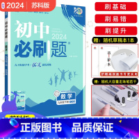 [苏科版]数学 九年级下 [正版]2024新版初中九年级下册数学人教版 初三9九下中考数学复习资料人教版下册含中考真题初