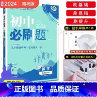[青岛版]数学 九年级下 [正版]2024新版初中九年级下册数学人教版 初三9九下中考数学复习资料人教版下册含中考真题初