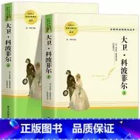 大卫·科波菲尔 [正版]乡土中国费孝通红楼梦原著完整版高中生必读配套阅读 堂吉诃德老人与海茶馆老舍一二三年级语文选修名著
