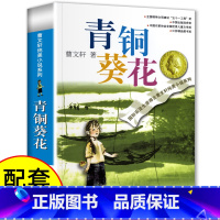 青铜葵花 [正版]青铜葵花曹文轩完整版全套5册 宝葫芦的秘密四年级下册阅读课外书必 小英雄雨来巨人的花园海的女儿三四六五