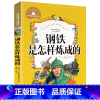 [彩图注音版]钢铁是怎样炼成的 [正版]稻草人书 彩图大字注音版叶圣陶书三年级的课外书带拼音故事书少儿读物儿童文学名著小