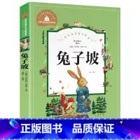 [彩图注音版]兔子坡 [正版]稻草人书 彩图大字注音版叶圣陶书三年级的课外书带拼音故事书少儿读物儿童文学名著小学生课外阅