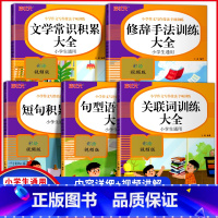 小学语文作文写作技法专项训练[全5册] 小学通用 [正版]小学生词语积累大全语文专项训练书籍1-6年级通用版 重叠词aa