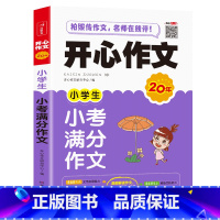 小学生小考满分作文 小学通用 [正版]作文 小学生作文大全三至六年级满分作文 作文书大全小学生三四五六年级获奖作文素材分