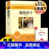 [配套人教版]七下-骆驼祥子 [正版]七年级上下册必阅读的课外书全套海底两万里骆驼祥子朝花夕拾鲁迅原著西游记老师推初一初